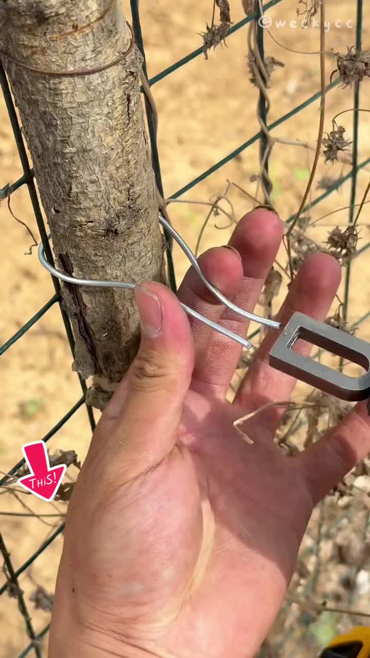 Professional Wire Twister Tool