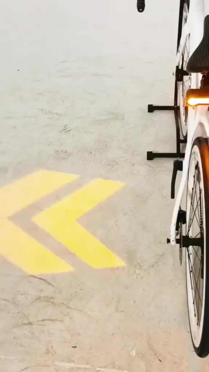 Ferngesteuertes Rücklicht mit Blinkerfunktion