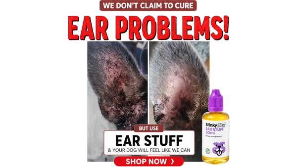 Easy to use, gentle on ears