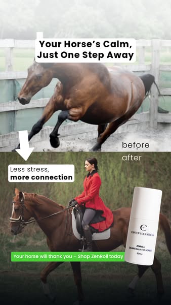 A calmer horse, a better ride
