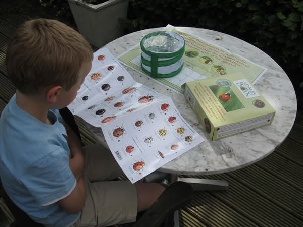 Ladybird Field Guide