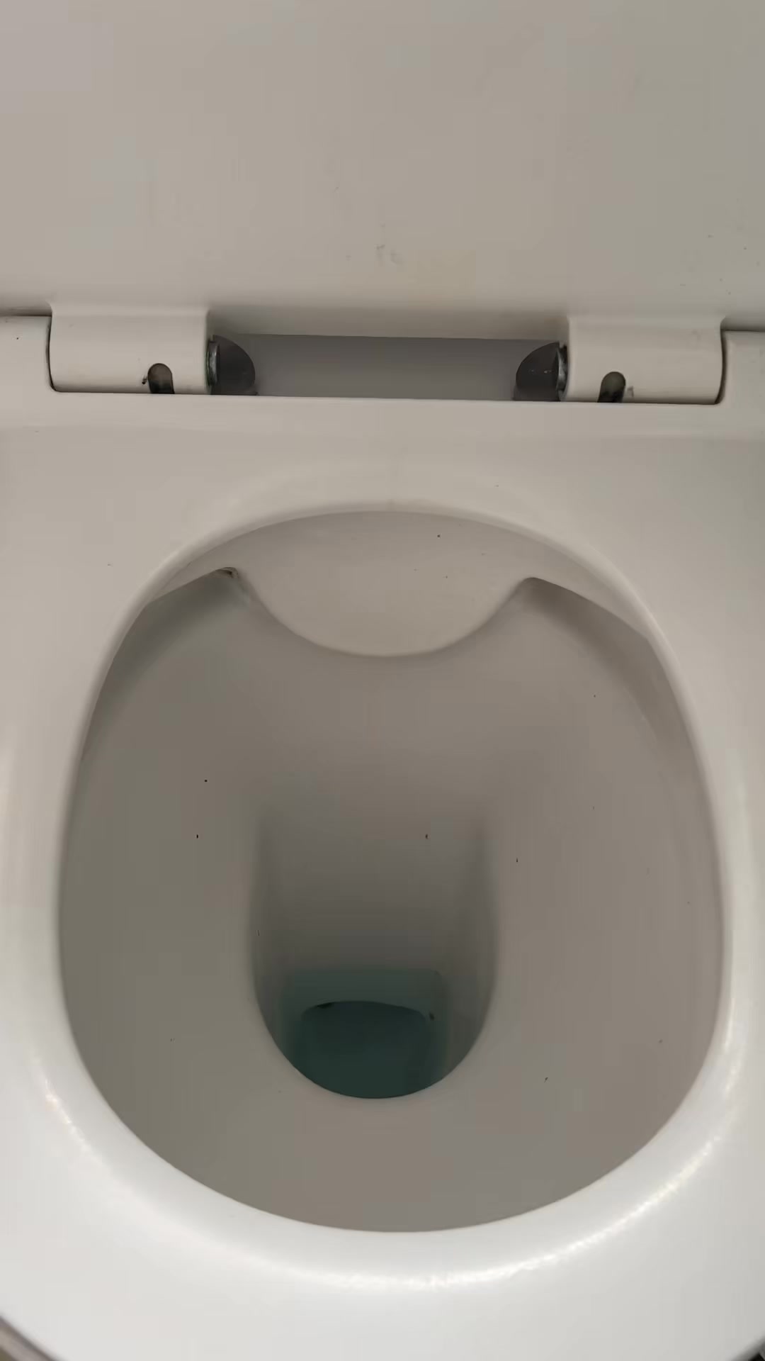 The ultra-hygienic way to clean your loo