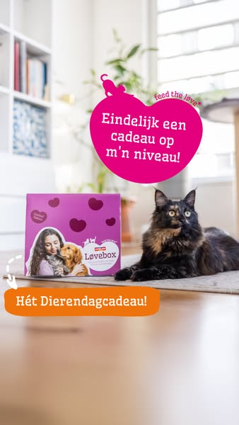 Ontdek wat erin zit