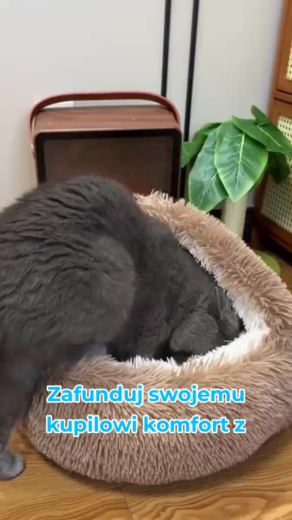 Łóżko dla zwierząt z dachem, 50 cm - pawrest