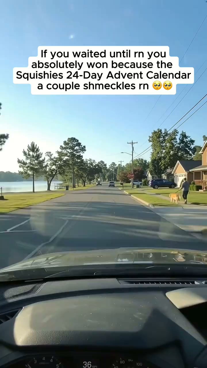 24 Days of Squishy Surprises