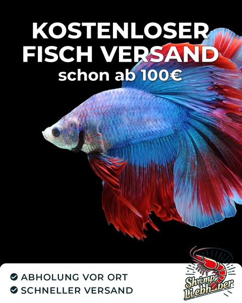 Sicherer Tierversand