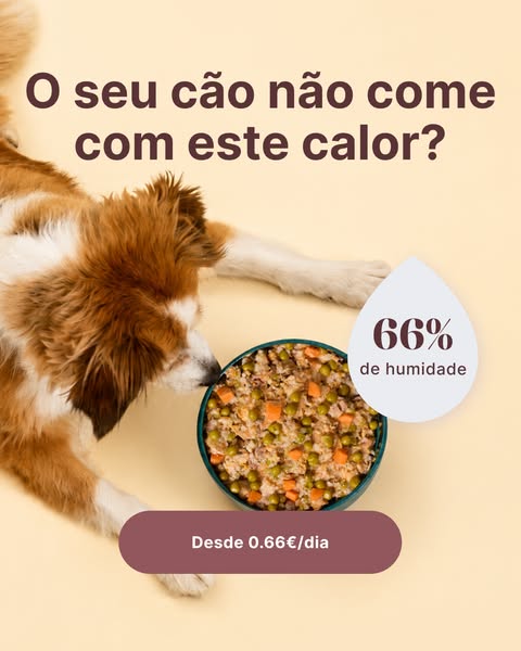 20% na sua primeira box