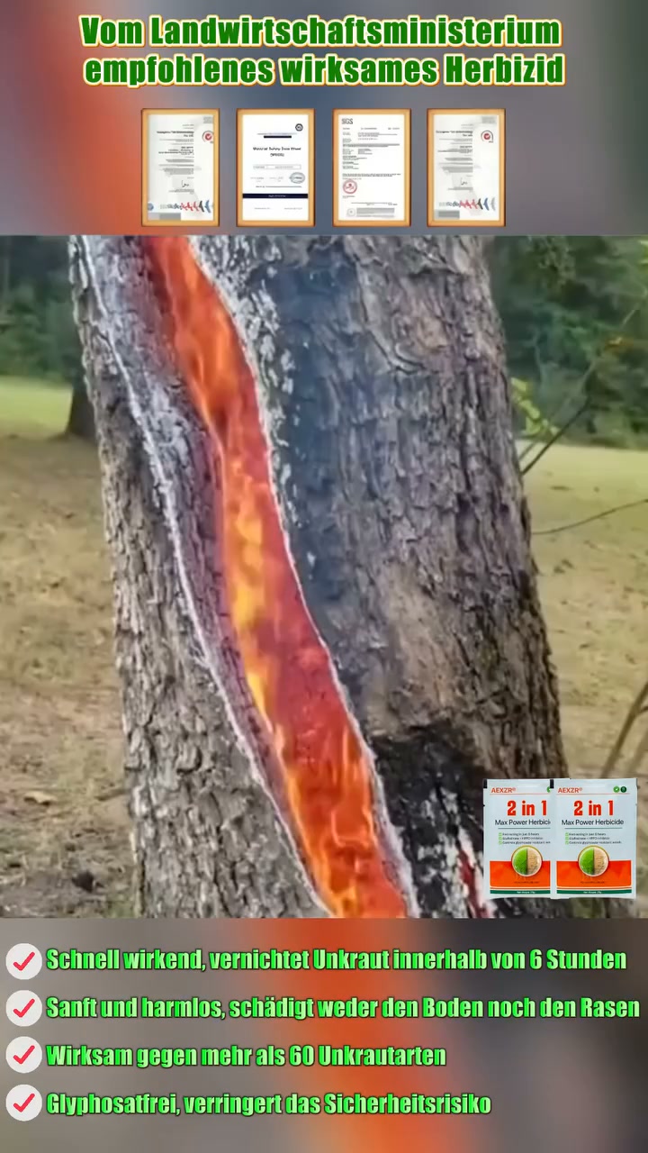 Anúncio de Trudedt-shop