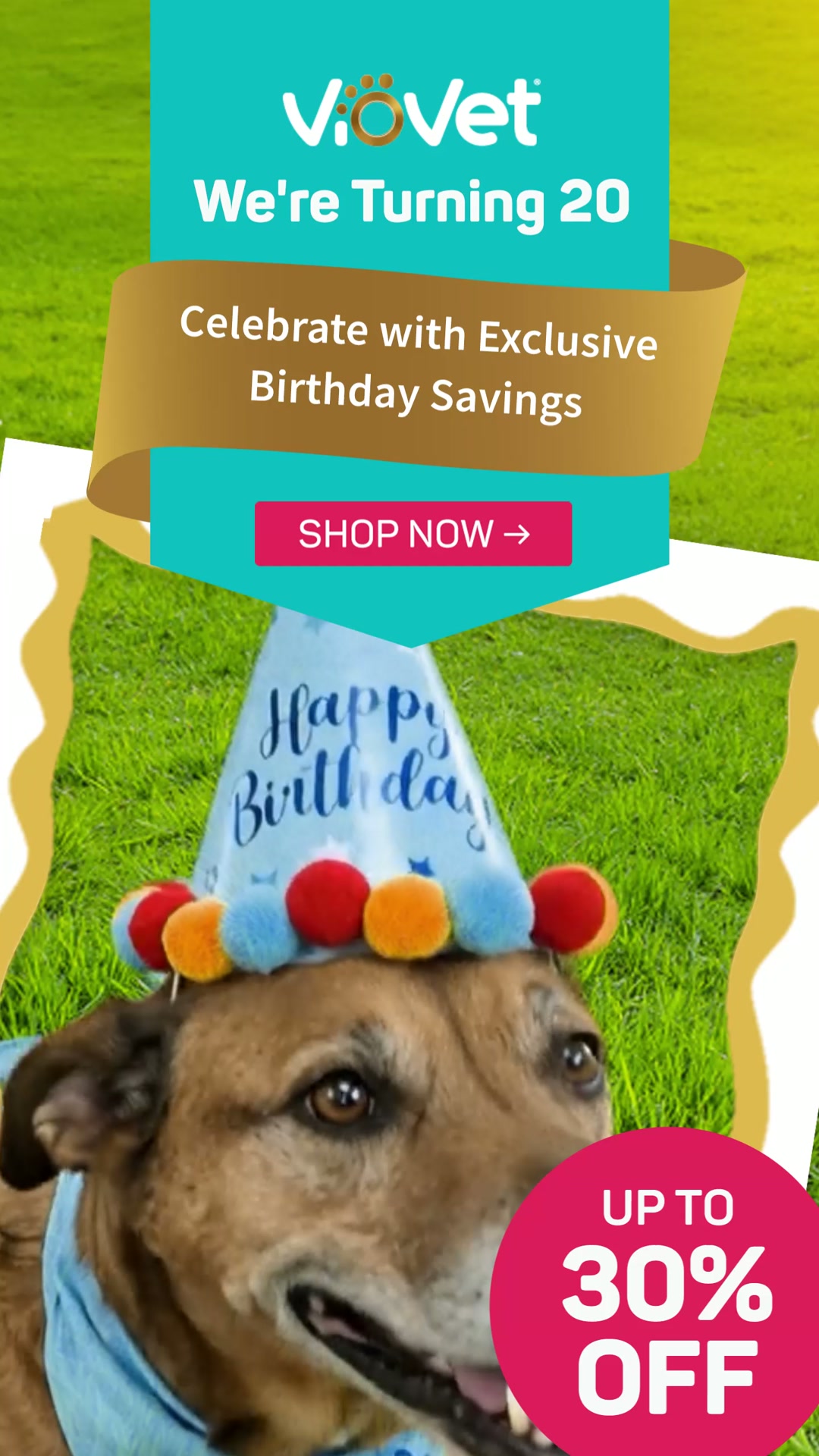 Up to 30% Off Dog Deals