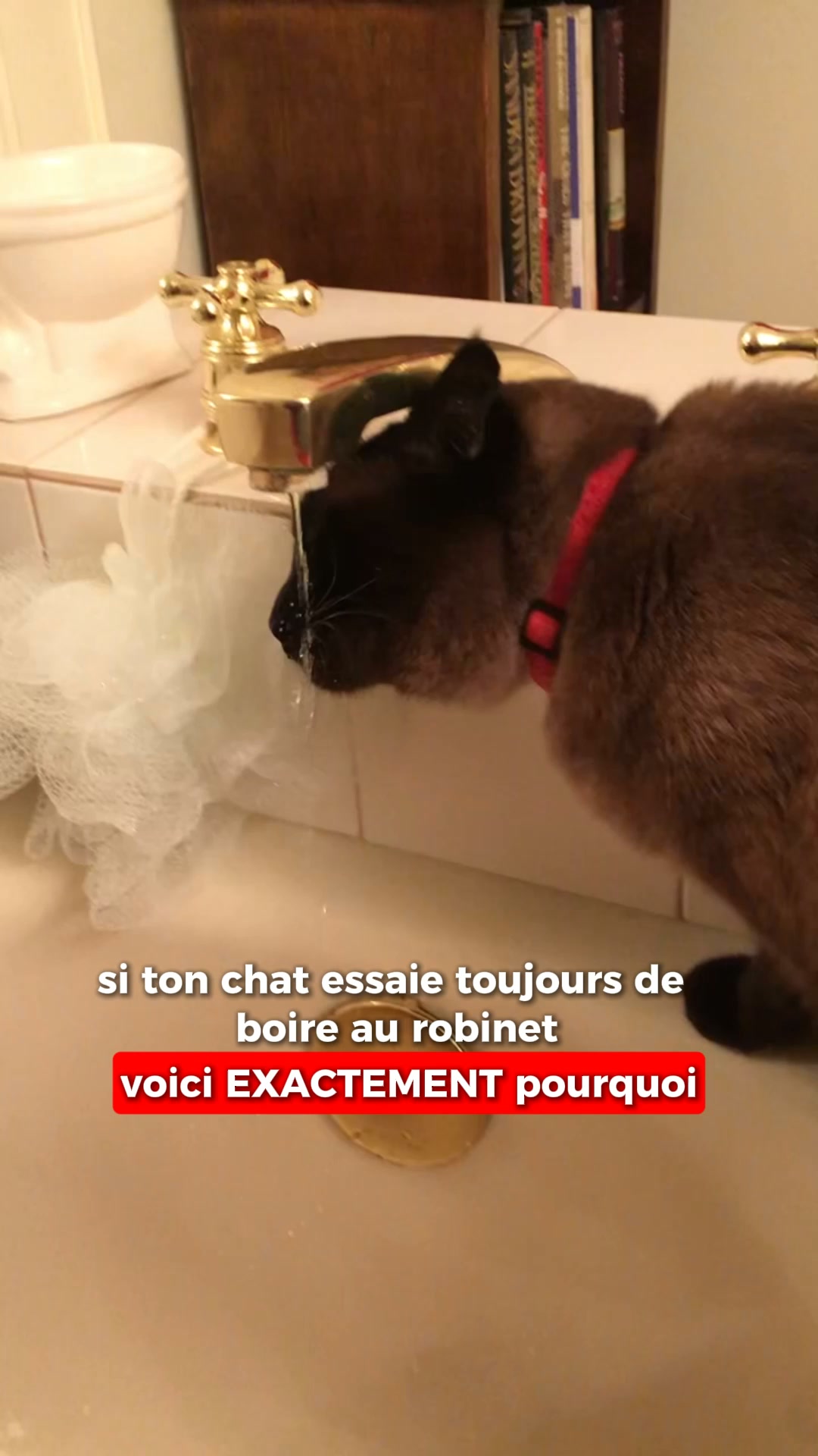 Protégez ses reins dès cette semaine