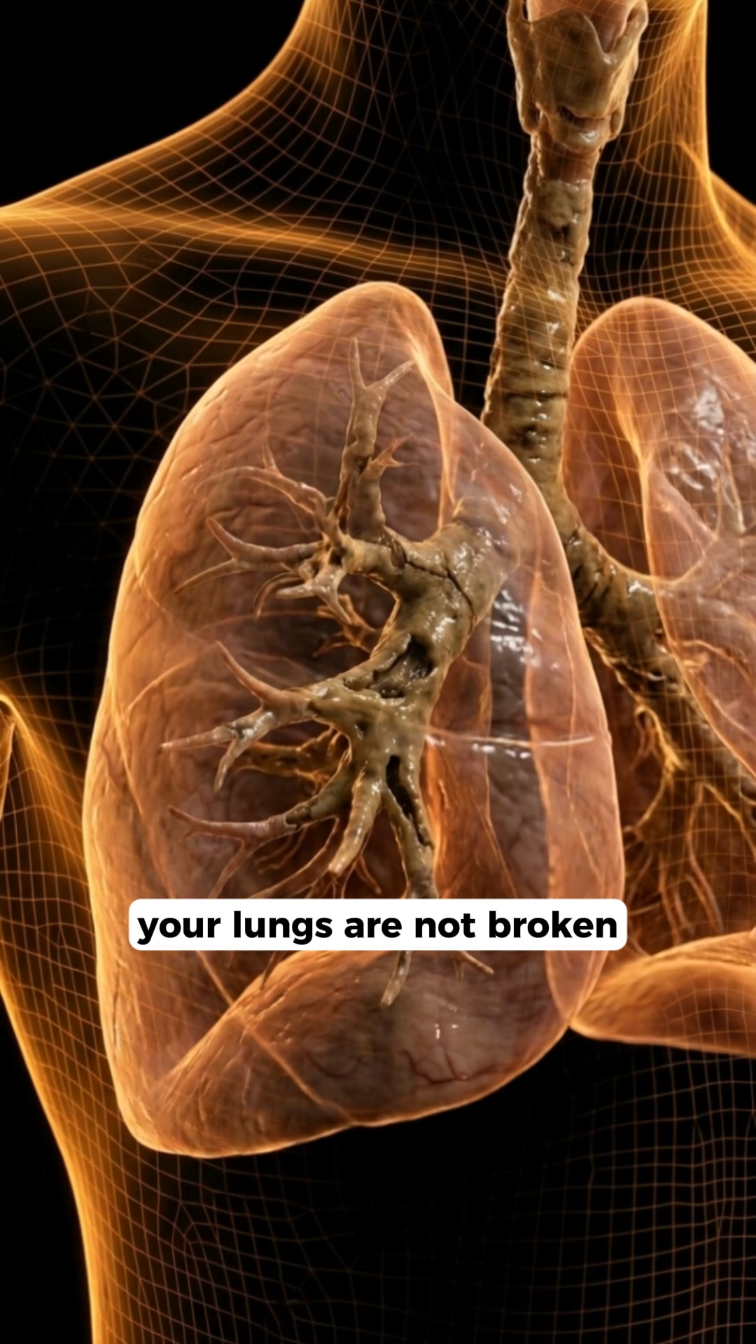 The Cemented Layer That's Been Sitting In Your Chest For Decades
