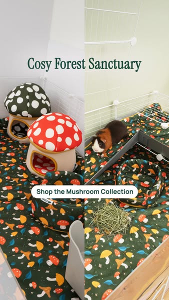 Upgrade to the Mushroom collection