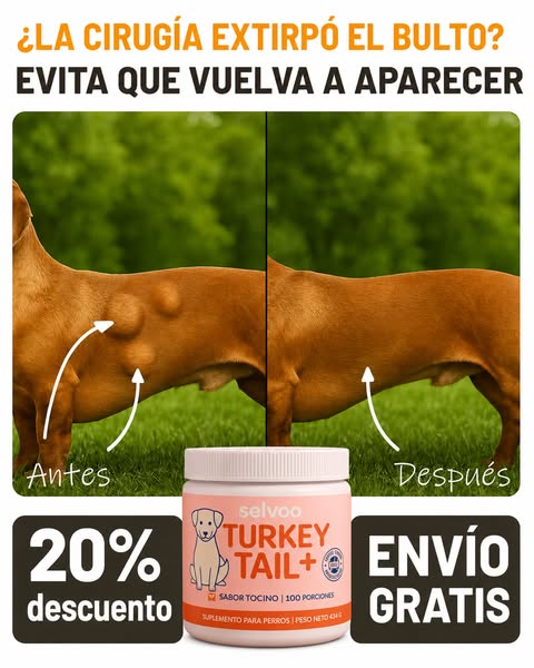 Antes de que sea demasiado tarde