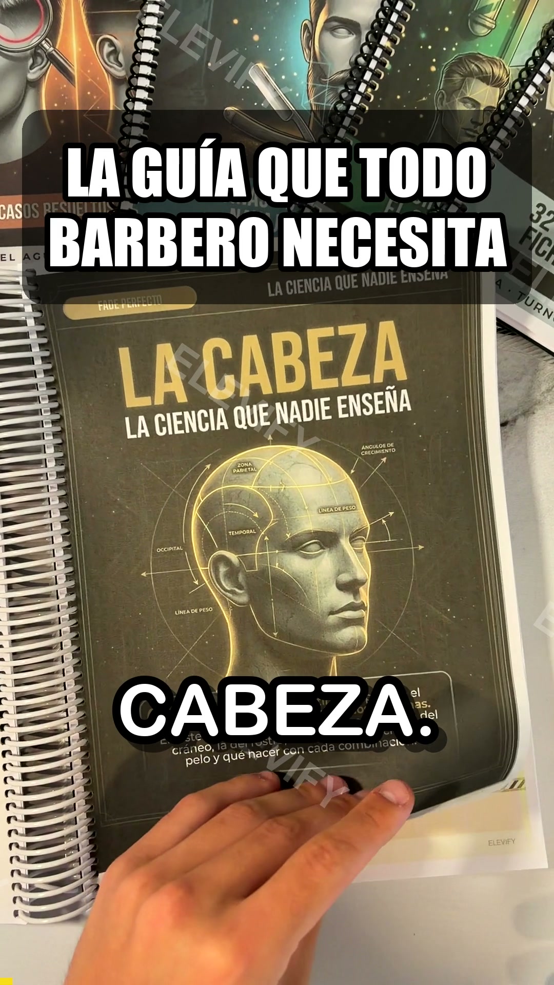 6 formas de cabeza, 6 fades distintos.