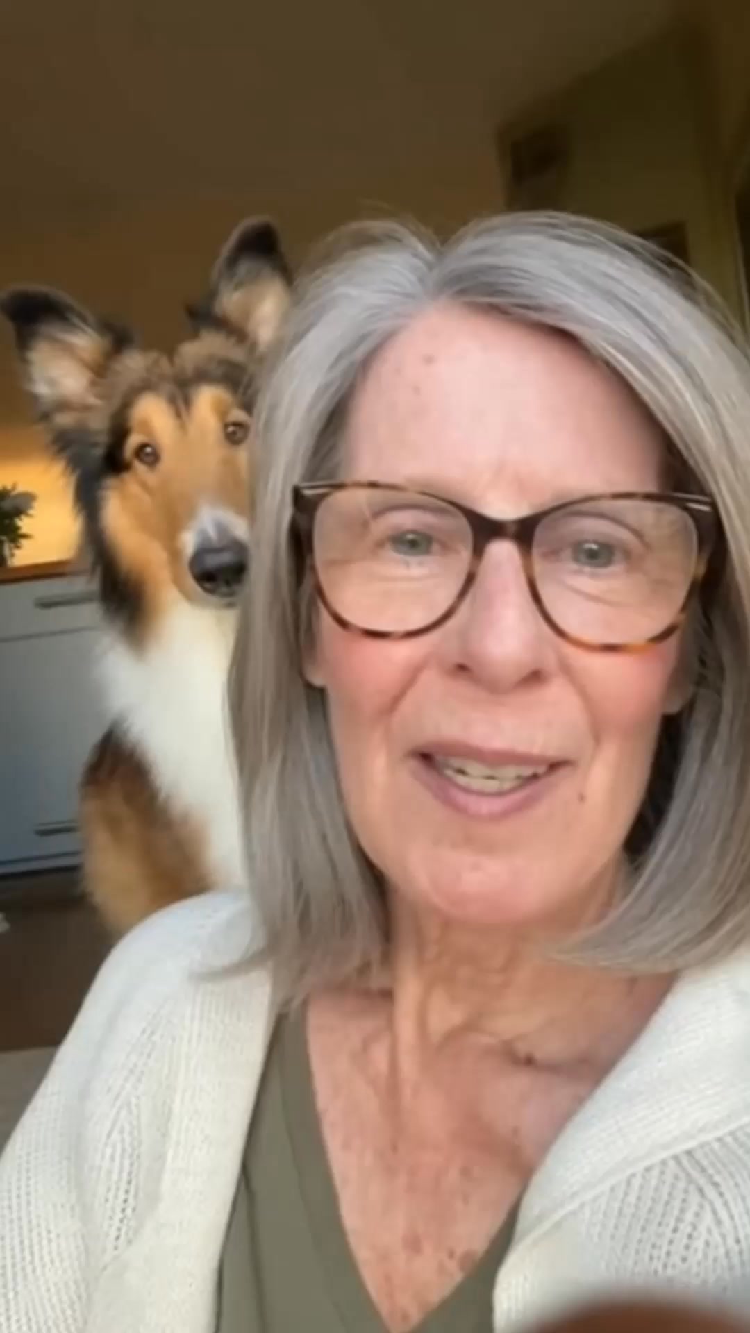 Restore Your Dogs Mobility 𝘗𝘳𝘰𝘱𝘦𝘳𝘭𝘺