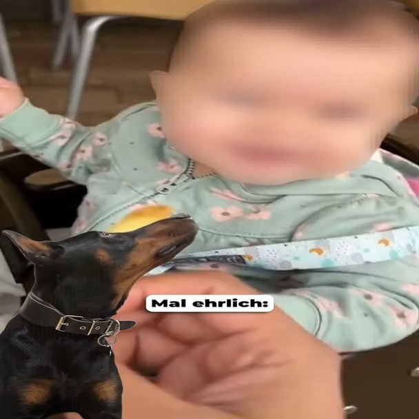 Teste jetzt unsere neuen Frische Menüs