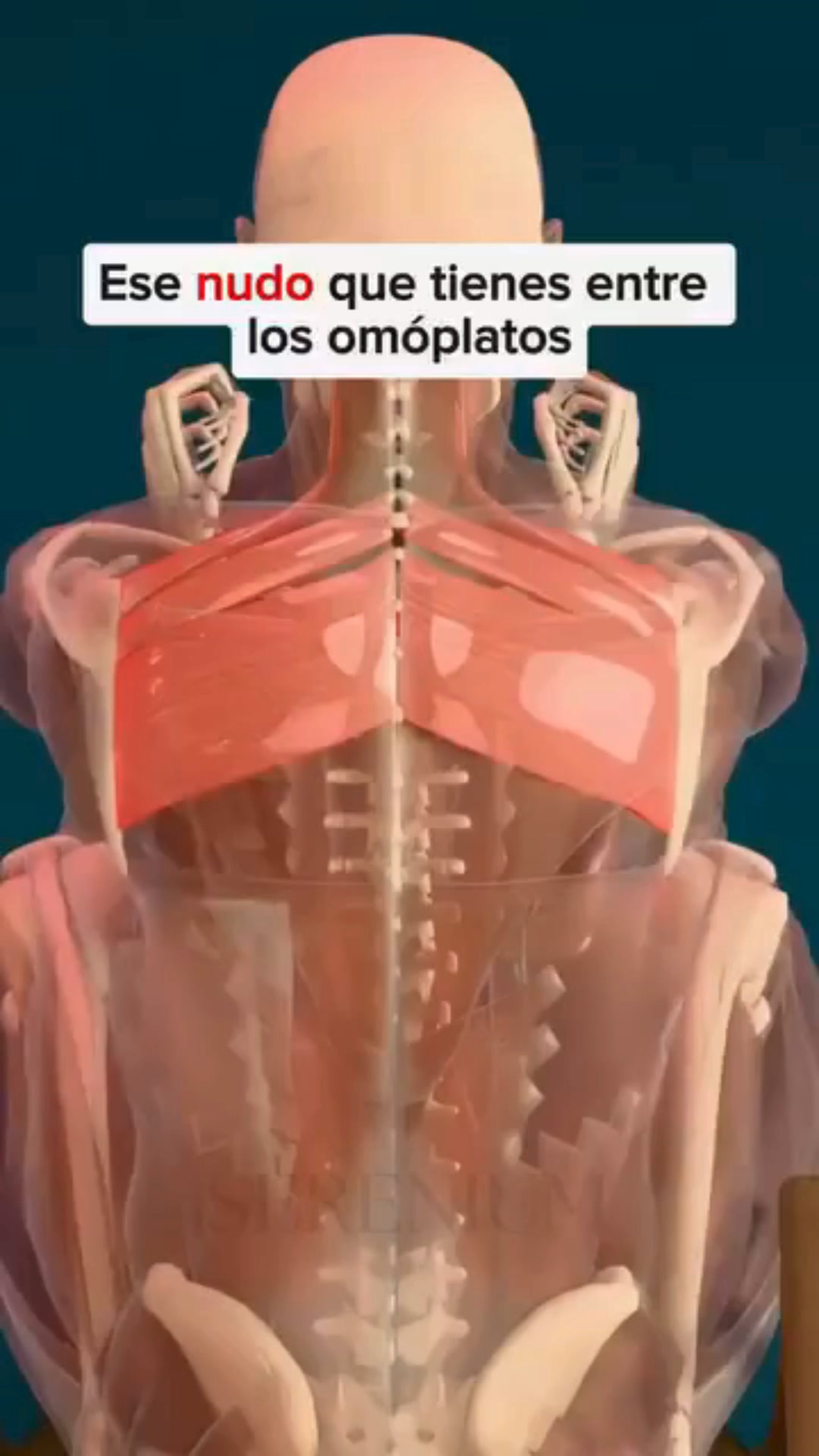 Oferta solo por tiempo limitado!