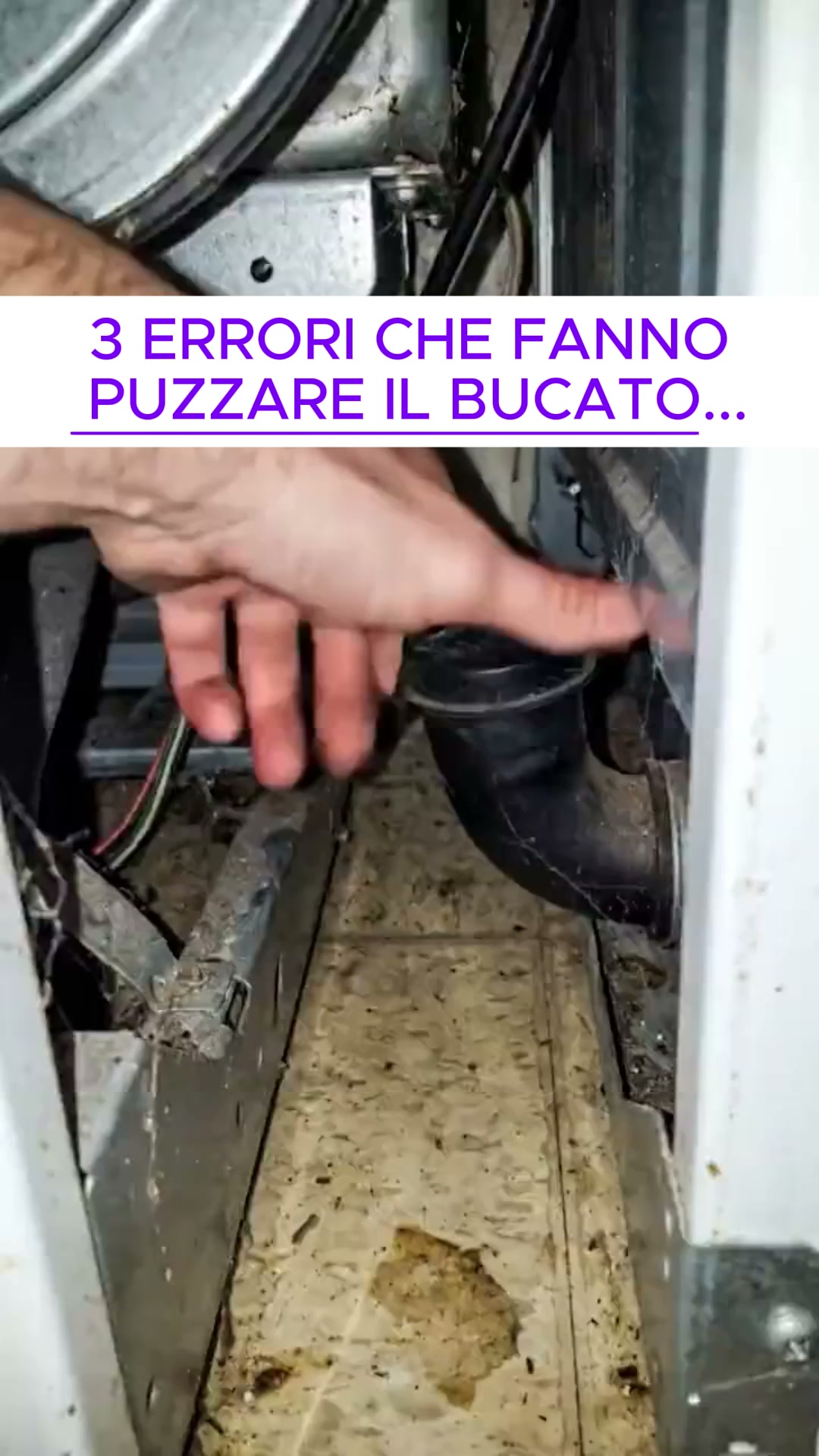 Se il bucato ha ancora un odore sgradevole dopo aver pulito la lavatrice... ecco la spiegazione