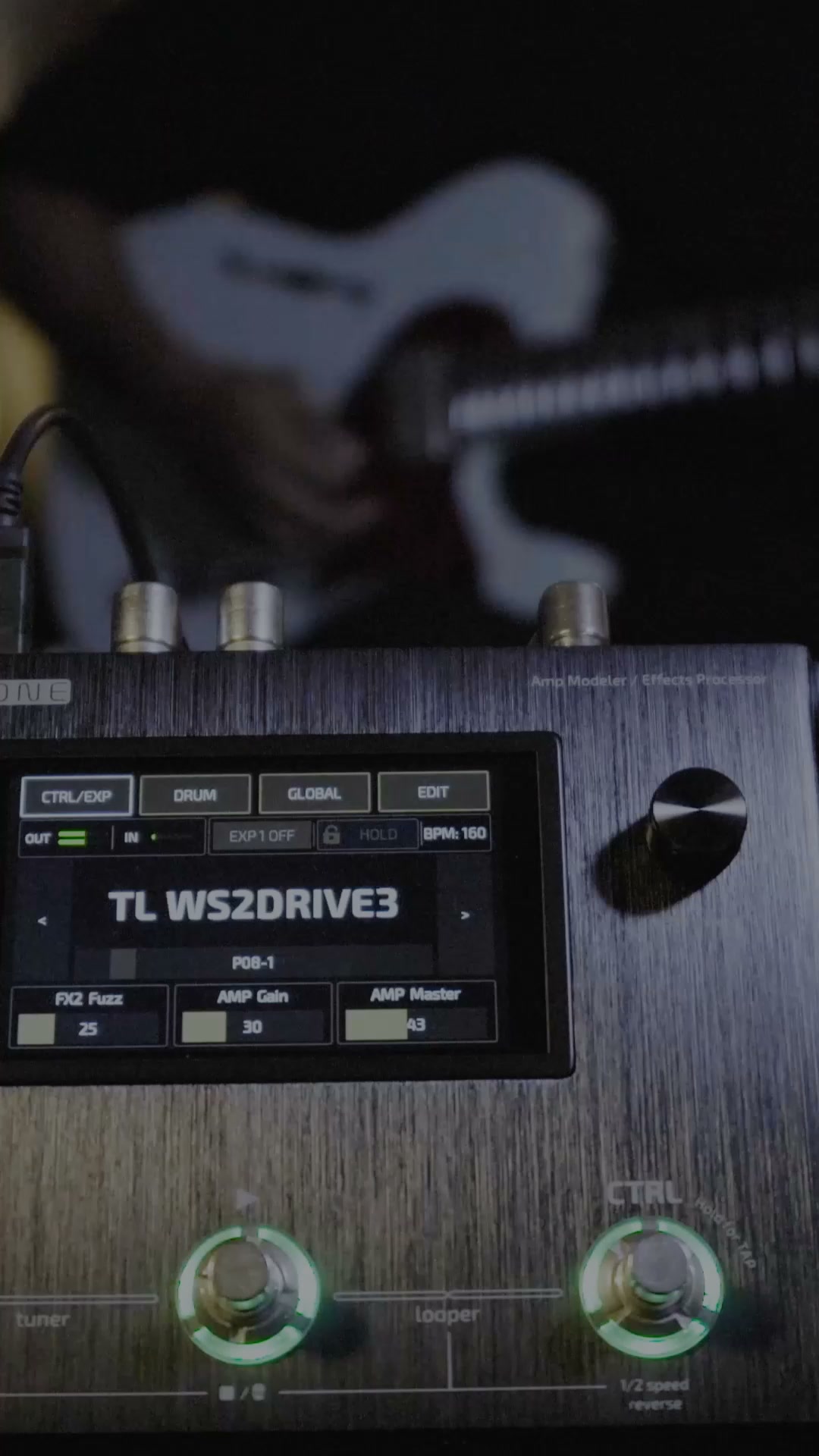 TL Worship Tones 2.0 + Matchless IRs