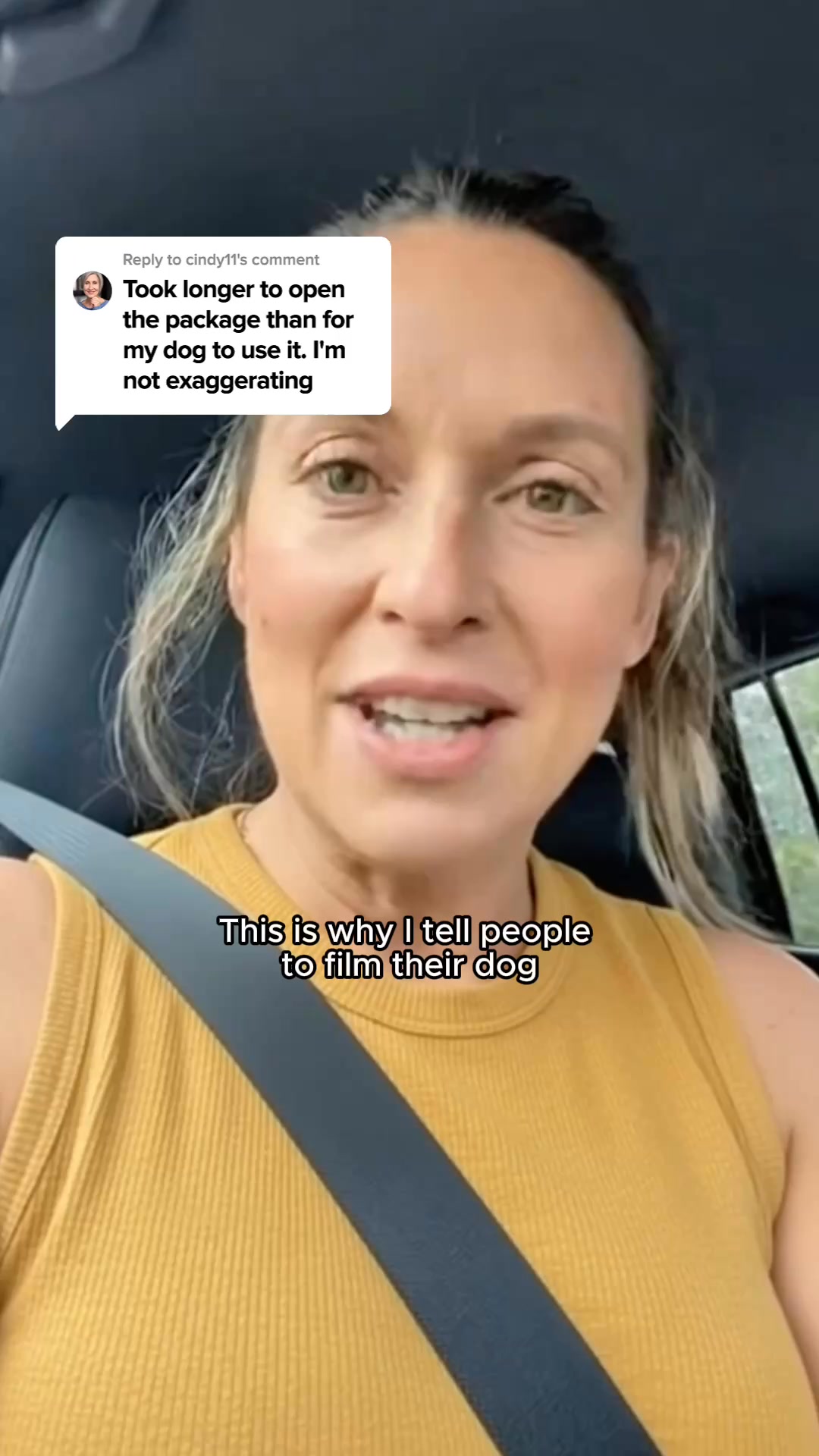 How We Potty Train Any Dog Instantly