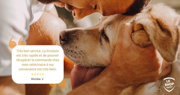 Paiement 100% sécurisé