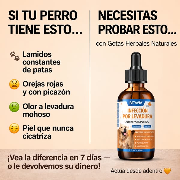 Compra 2 y llevate 1 Gratis