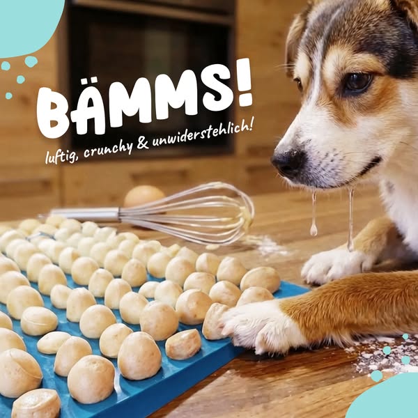 Der Bämm-Effekt Luftige Leckerlis selber backen!