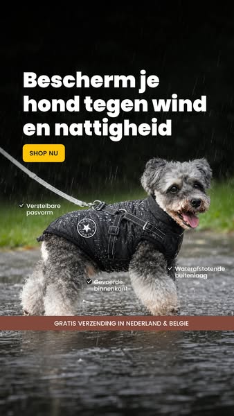 Gratis verzending in NL & BE + 14 dagen bedenktijd