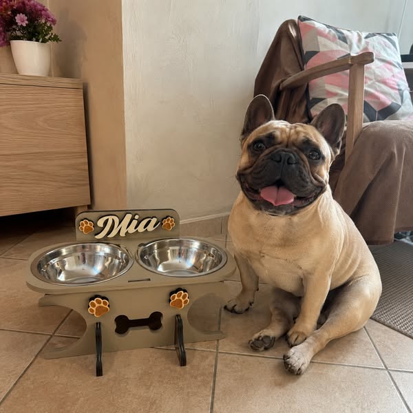 Regala al tuo cane l'angolo pappa che merita