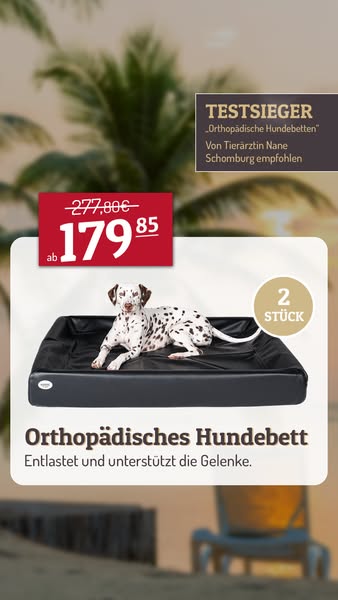 Jetzt sparen beim Kauf von zwei KUDDE