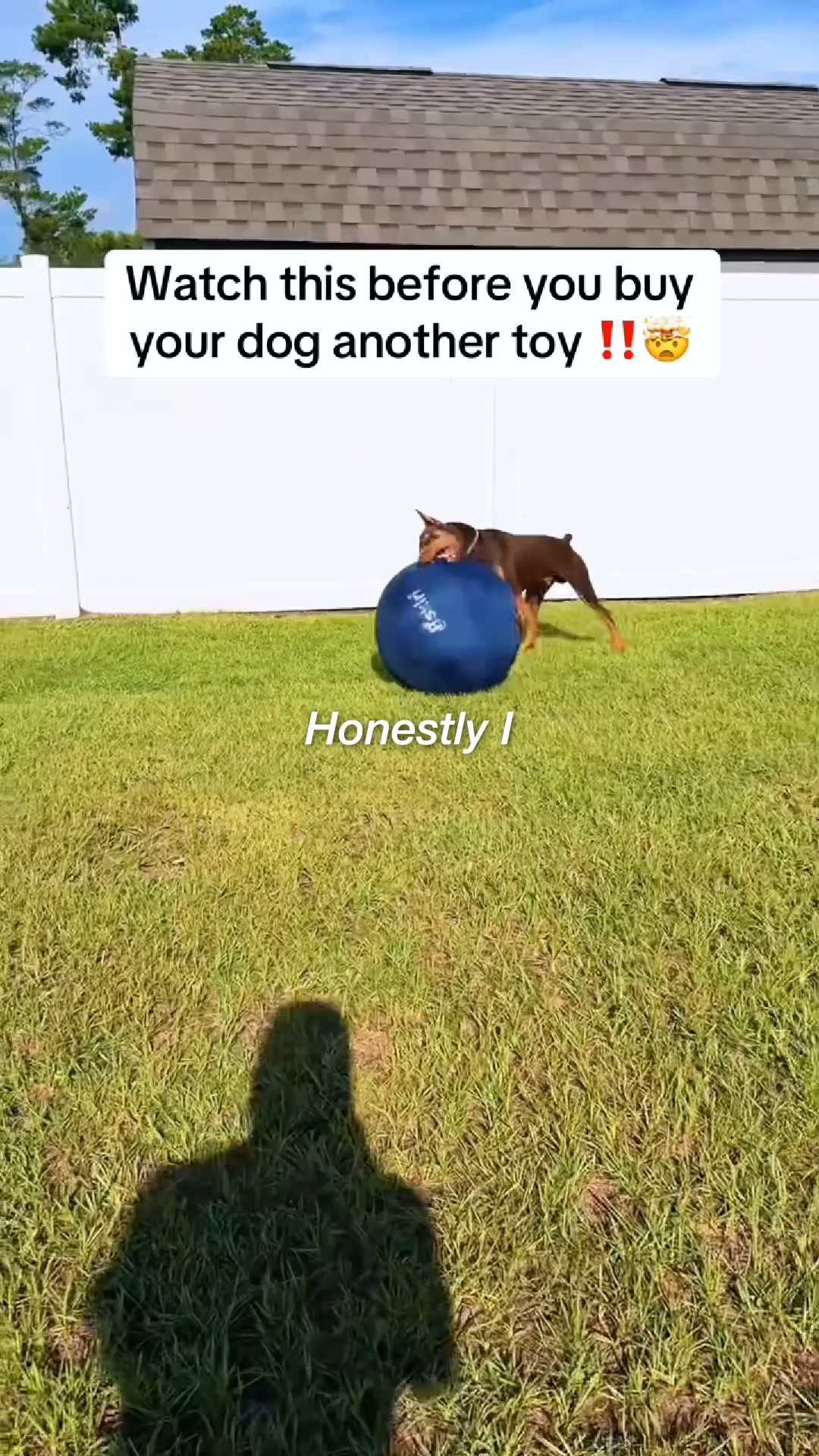 The Ball That Finally Gets Them To Settle