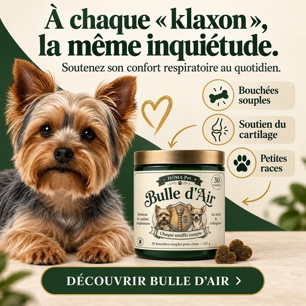 À chaque « klaxon », la même inquiétude.