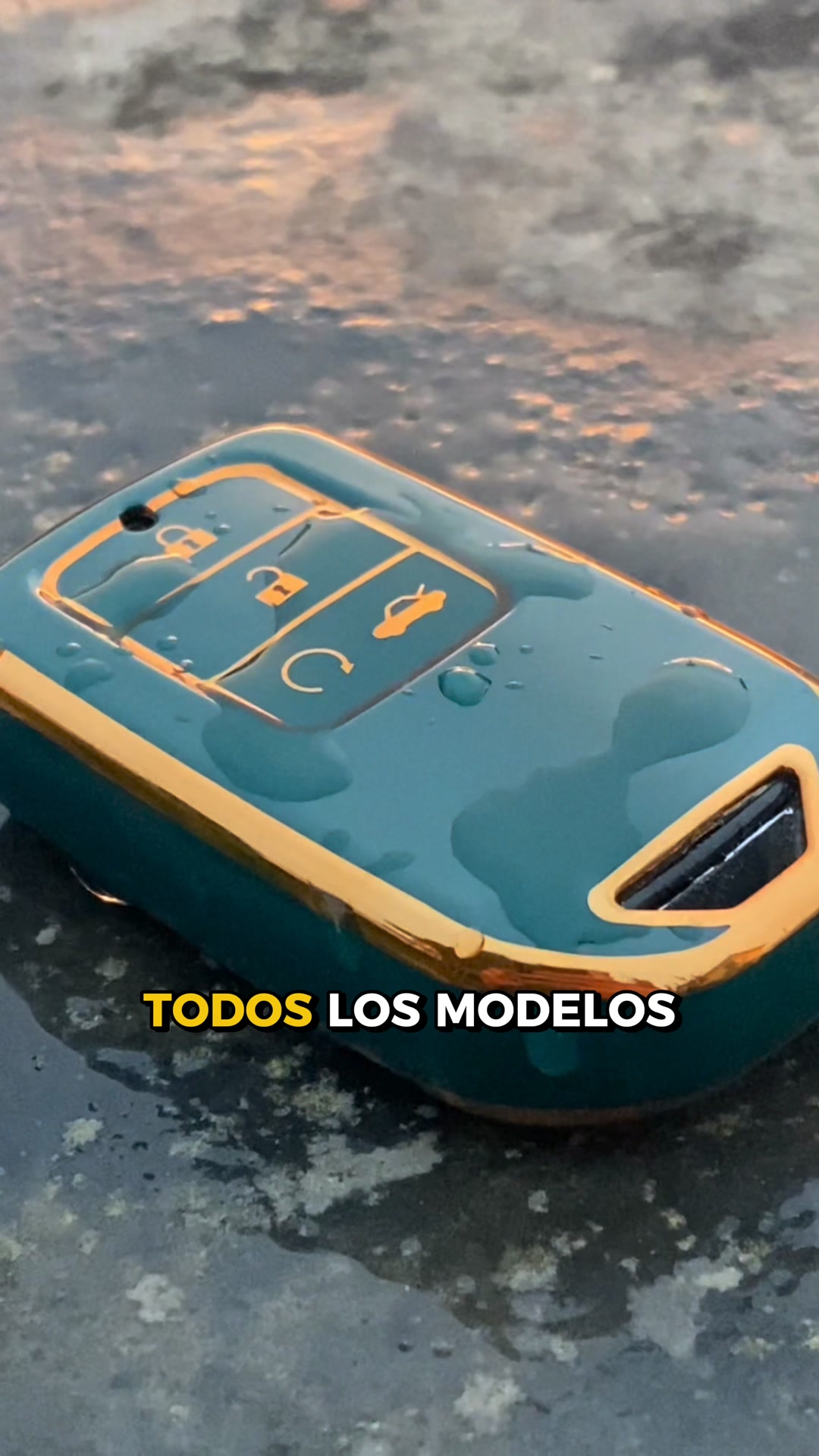 Fundas para llave de coche. Envíos gratis en 3-6 días