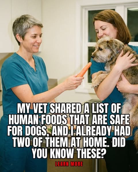 Not All Table Scraps Are Trouble for Your Dog