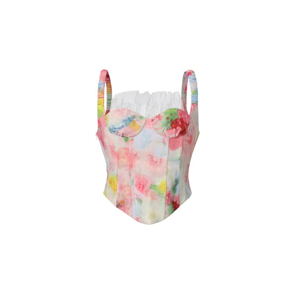 Grinin Printed Bustier Top