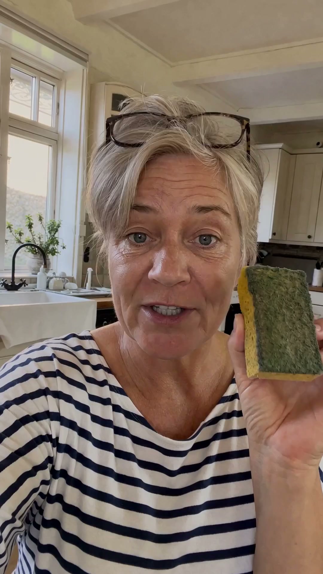 Det vidste jeg ikke om den gule svamp