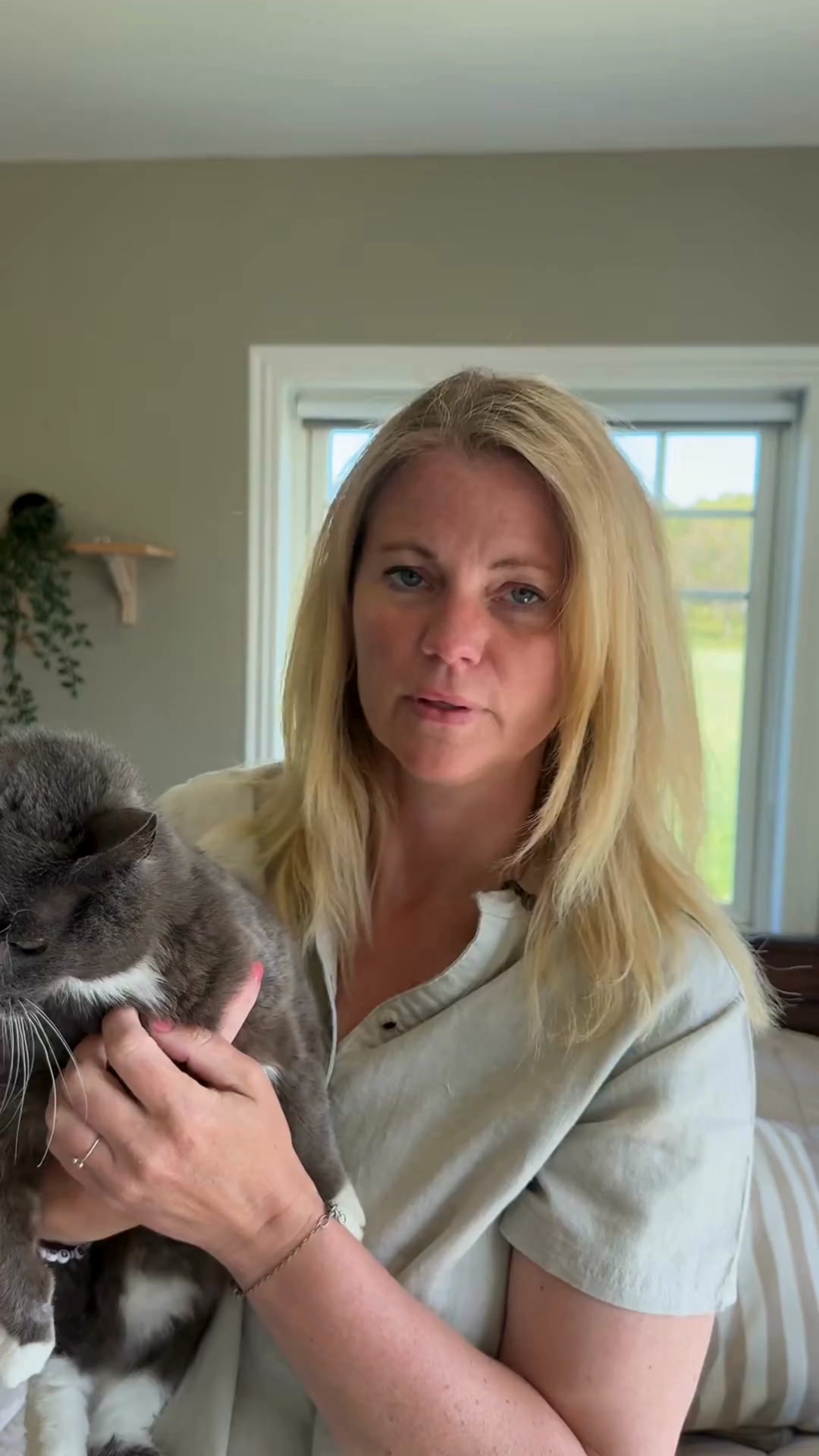 Spåra din katt – utan abonnemang