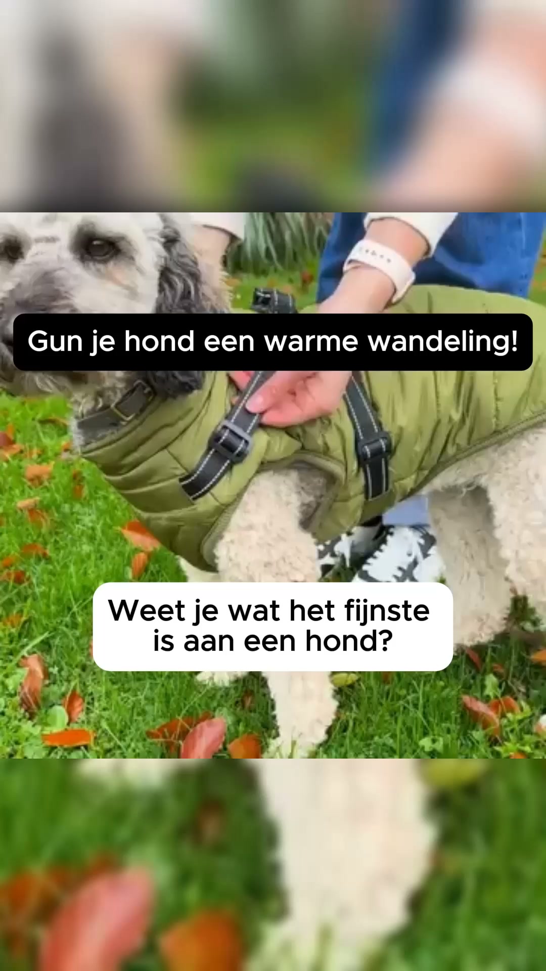 Warm & kurkdroog, elke wandeling