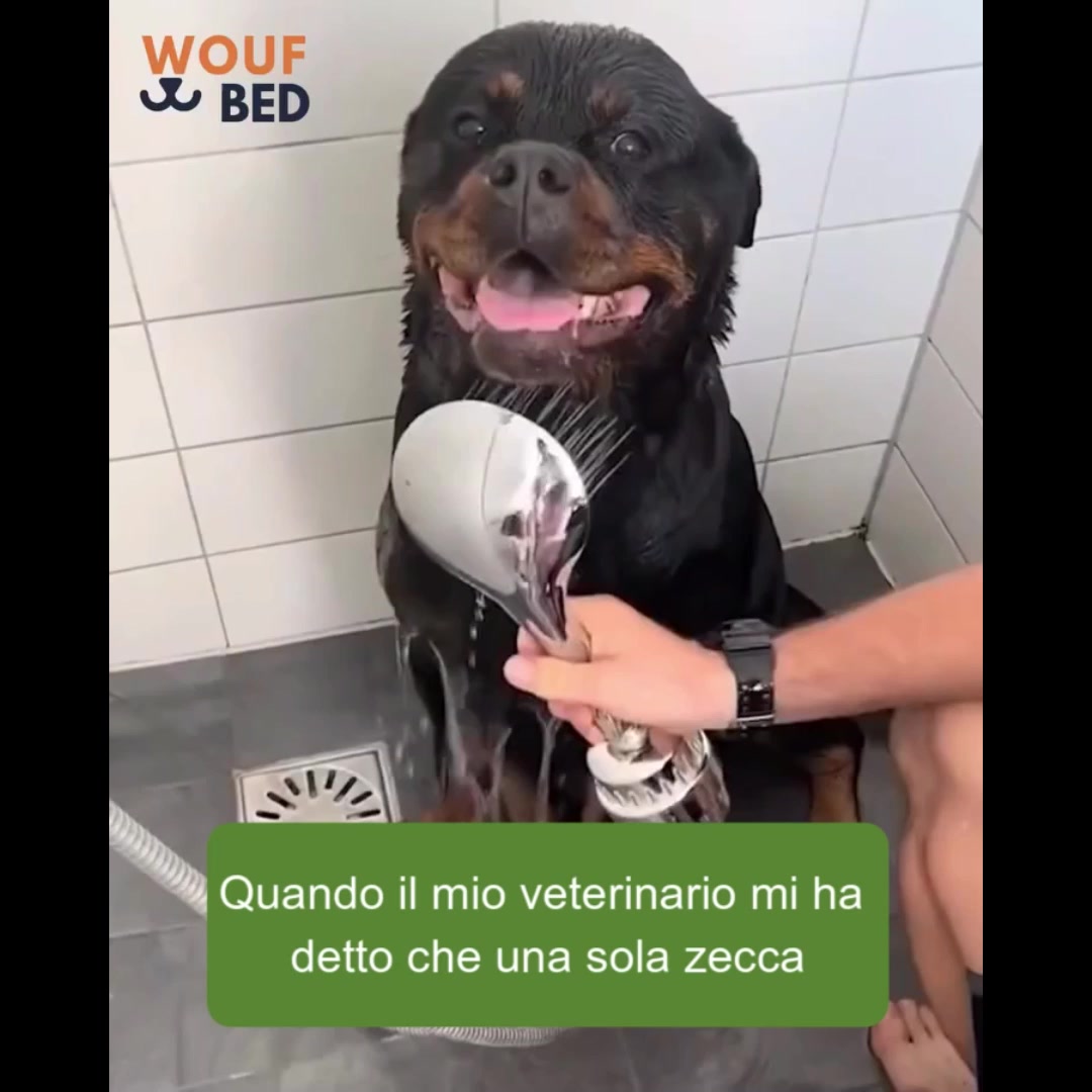 Ti sei mai chiesto cosa c'è davvero sul pelo del tuo cane?