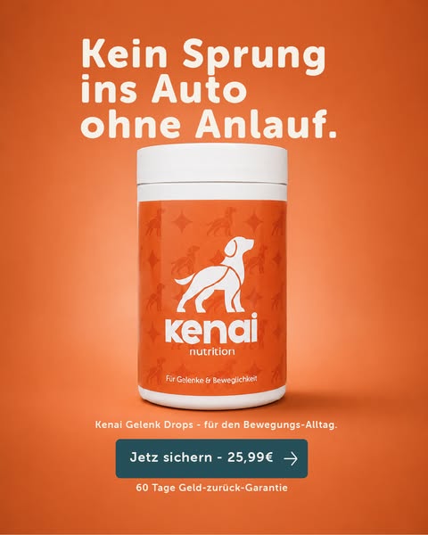 Was steife Gelenke täglich brauchen