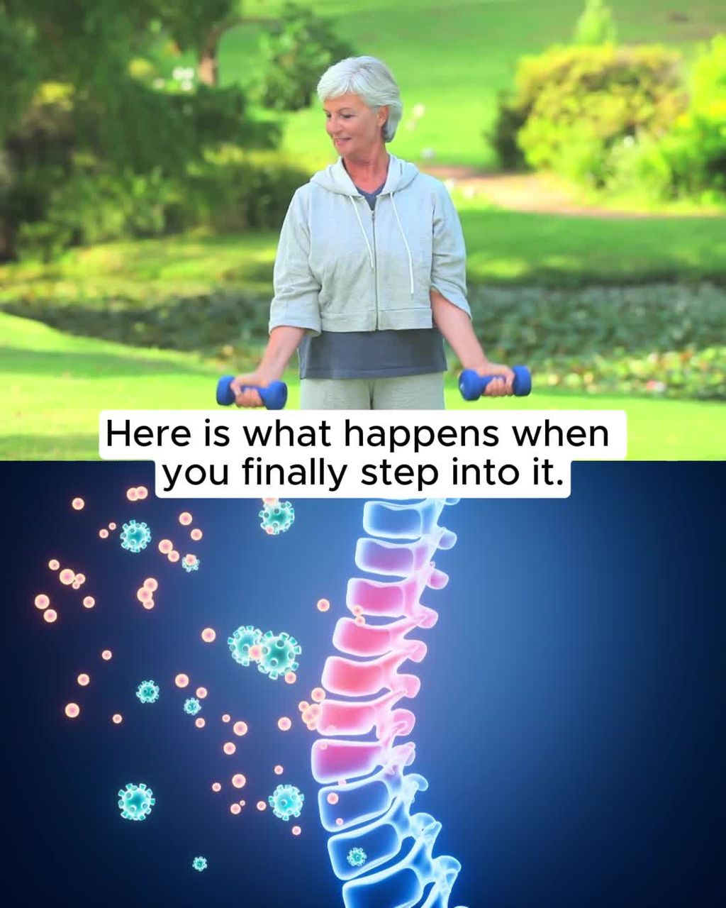 A Clearer Way to Explore Joint and Mobility Support