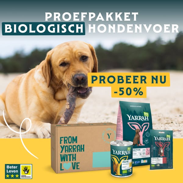 Probeer nu -50%