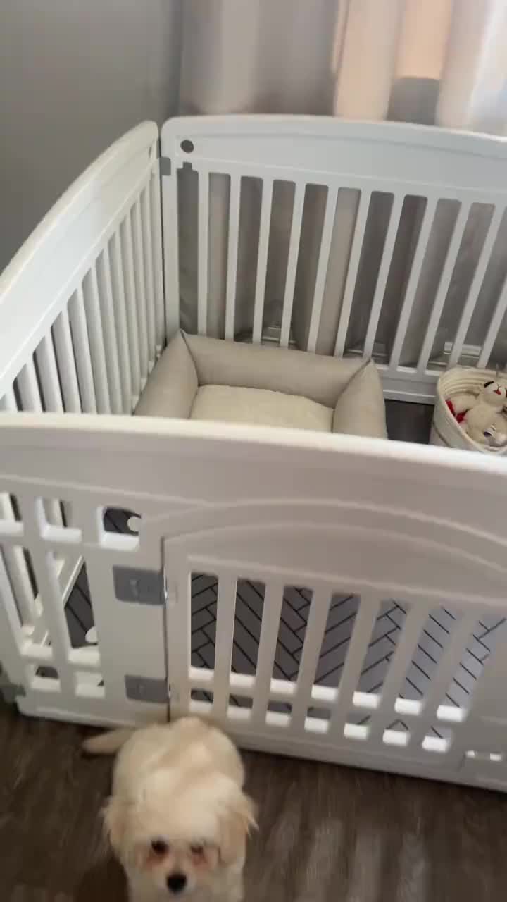 Diatomaceous Pet Food Mat