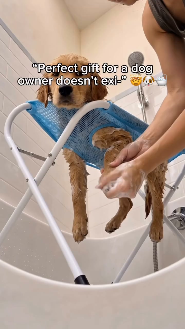 Bathing A Cat Doesn't Have To Be War