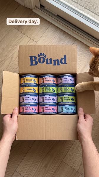Only £7.99 for 12 Tins!