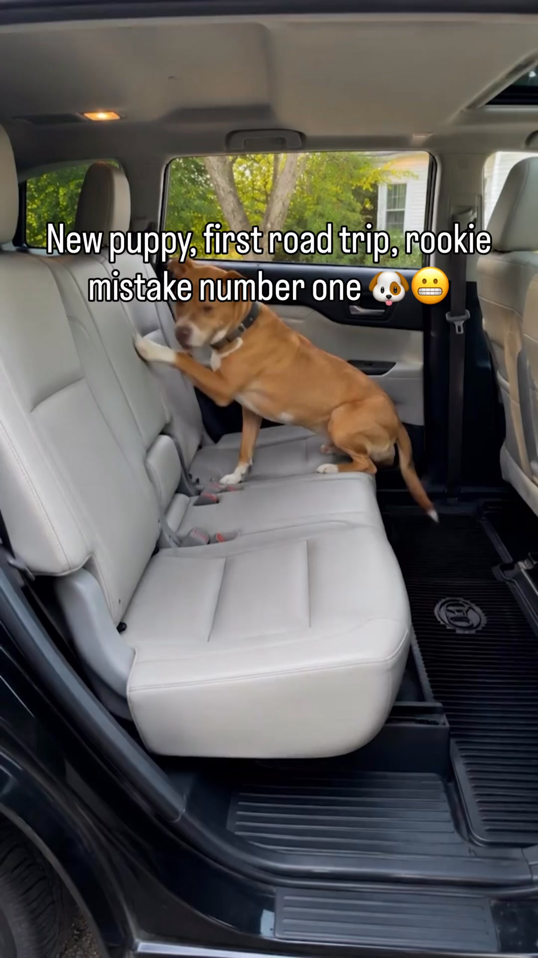 Safe & Comfy Rides in 1 Easy Step