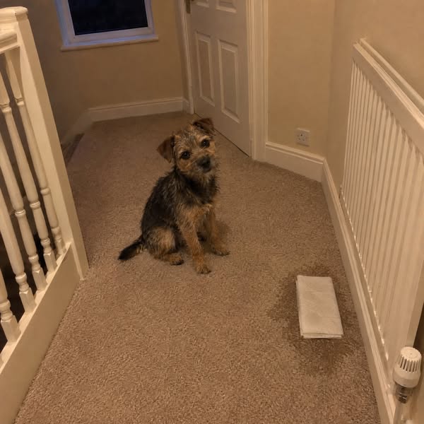 Finally leaving the door open again