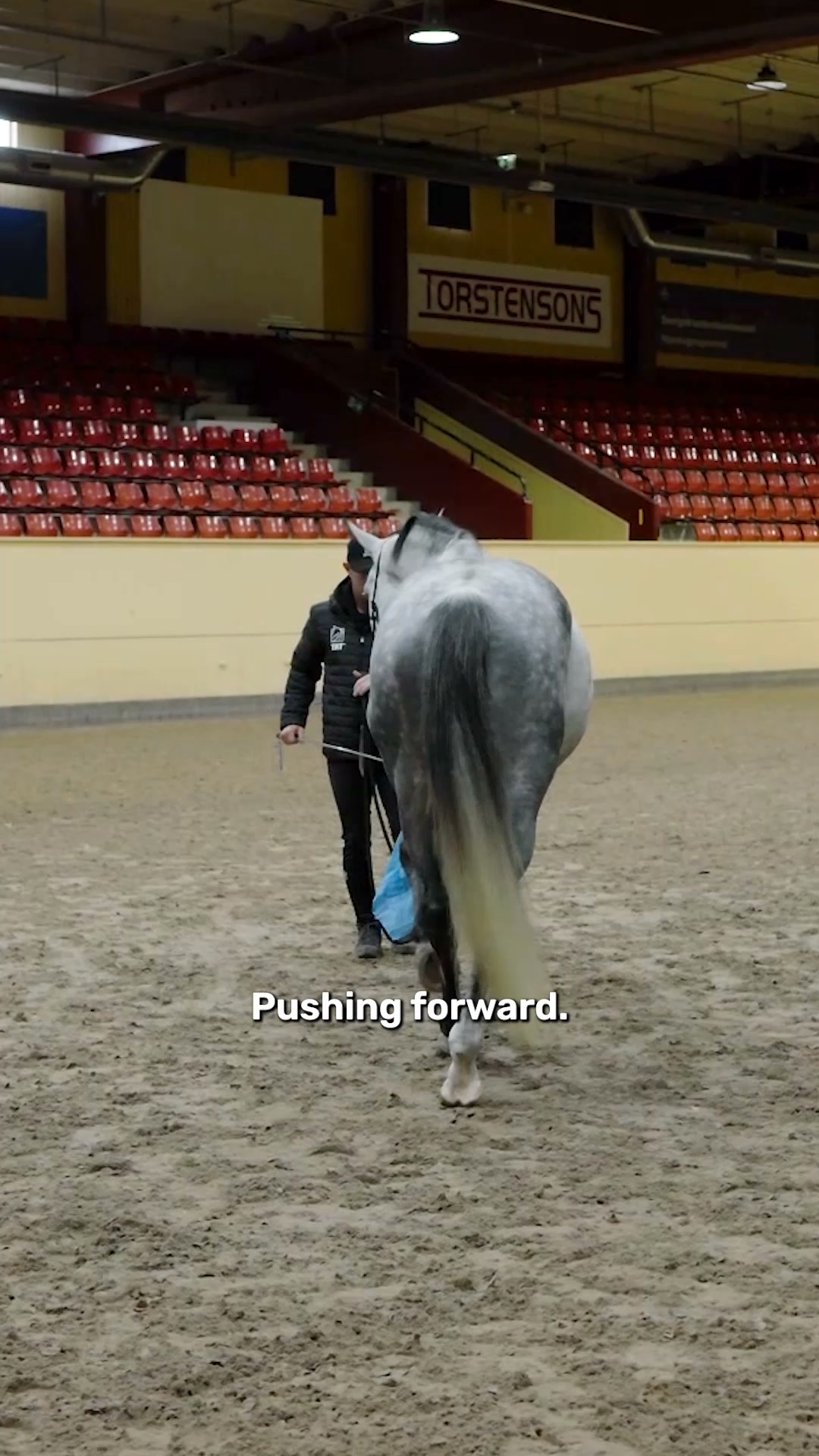 Why Is Your Horse Still Tense?