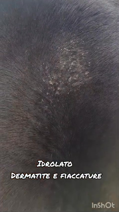 Idrolato di Lavanda