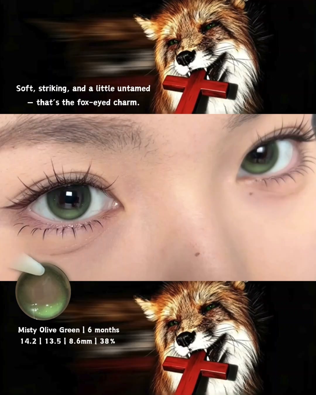 Misty Olive Green 14.2mm Contact Lenses (6 months wear)